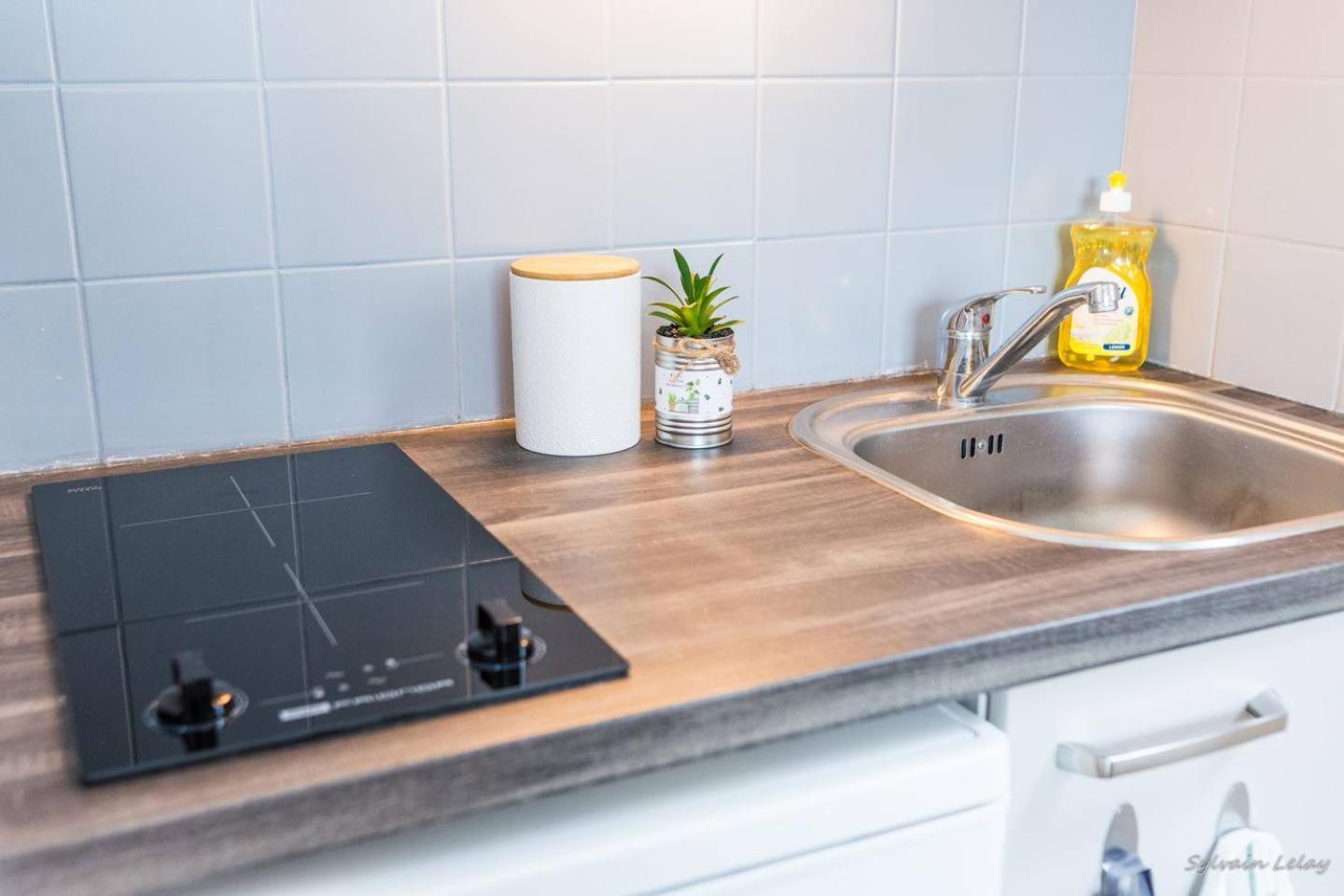 Appartement T2 - Proche Gare - Bord De Vilaine Rennes Luaran gambar
